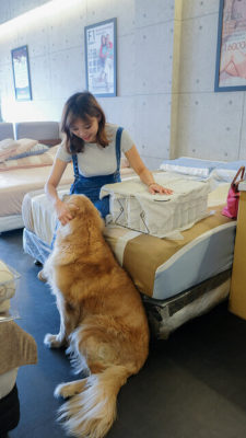 生活搖籃床墊寢具｜桃園床墊寢具