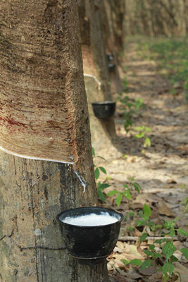 生活搖籃床墊寢具｜桃園床墊寢具推薦