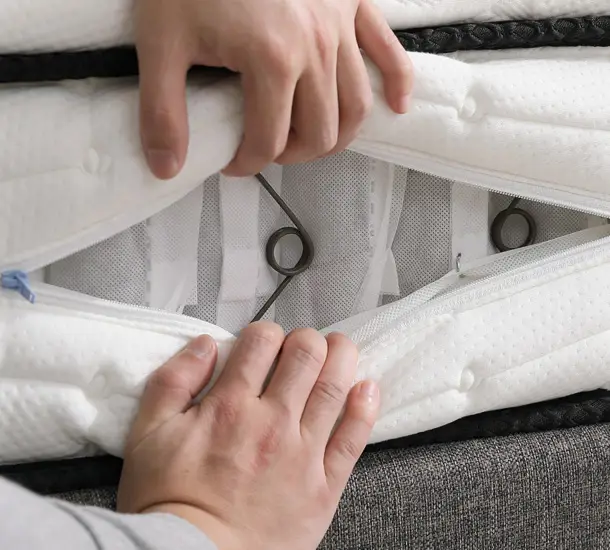 經典福爾摩沙F5(基本款)