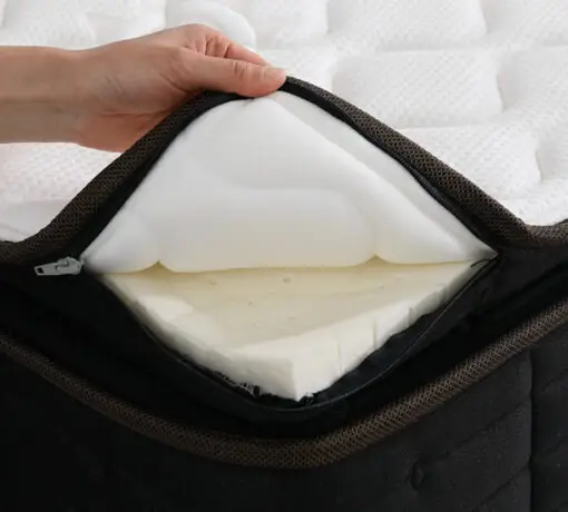 經典福爾摩沙 F1( 支撐款 )