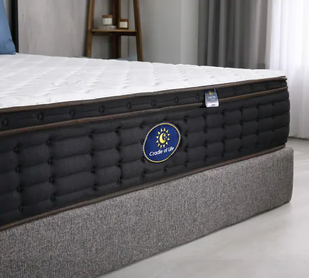 經典福爾摩沙F7(強力支撐款)